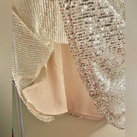 LOFT Sequin Skirt - Champagne Color Skirt with Silver Sequins  SIZE 14   NWT! - Picture 6 of 14